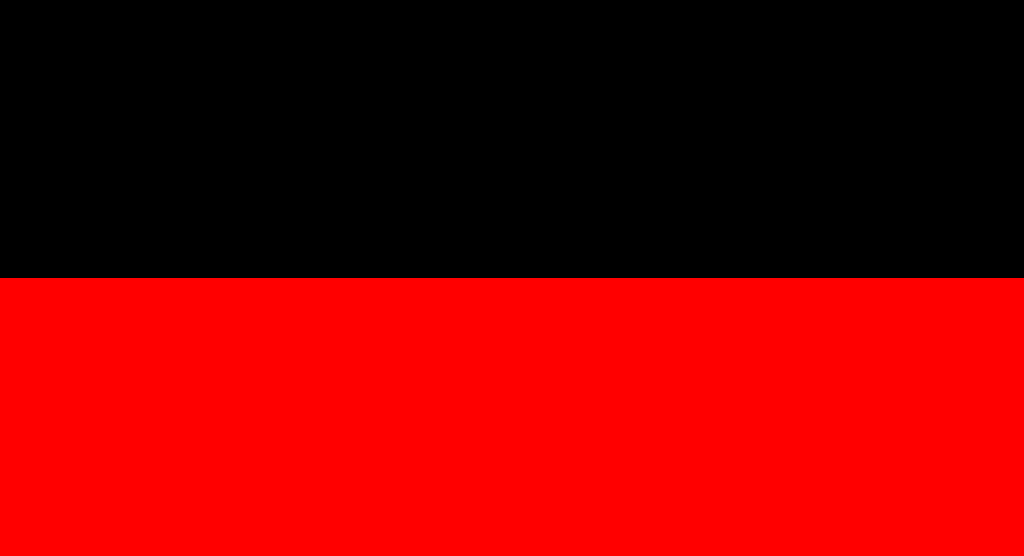 dmkflag.png photo